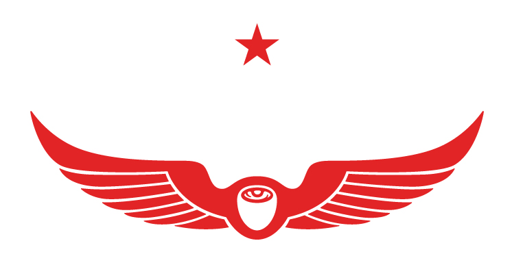 Intelligentsia